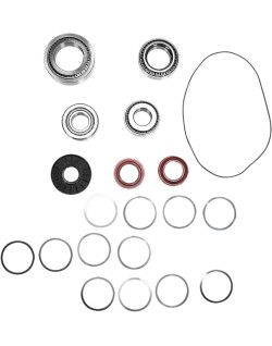BEARING KIT DIFF RR POL