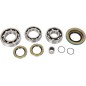 BEARING KIT DIFF RR CANAM