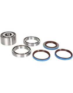 DIFFERENTIAL REAR BEARING
