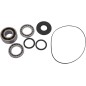 BEARING KIT DIFF FT POL