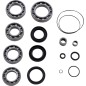 BEARING KIT DIFF FT HONDA