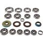 BEARING KIT TRANSAXLE RR