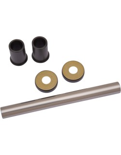 BEARING SWINGARM TTR125