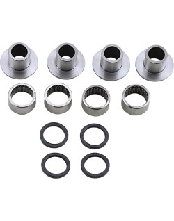 BEARING SWINGARM KIT BETA