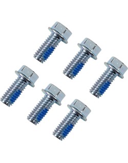 BOLTS ROTOR HON/KTM/TM