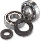 BEARINGS SLS-CRNK CR125
