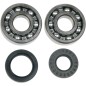 BEARINGS SLS CRNK YZ125