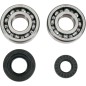 BEARINGS SLS CRNK YZ250