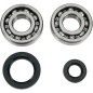BEARINGS SLS CRNK CR250