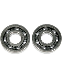 BEARINGS CRANK-XR/TRX