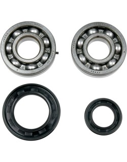 MSE CRNK BRG/SEALS YFZ