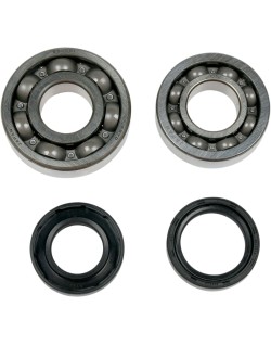 MSE CRNK BRG/SLS YFS200