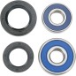BEARING RR WHEEL TTR