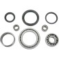 RR WHL DIFF BRG KIT YAM