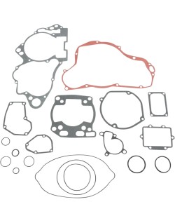 MSE MTR GSKT RM250 '01