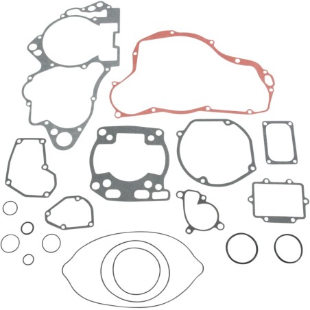 MSE MTR GSKT RM250 '01