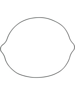 CLCH CVR GSKT RM250 96