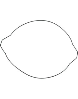 CLTCH CVR GSKT YZ250 99-