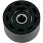 CHAIN ROLLER CRF250 10-11 BK
