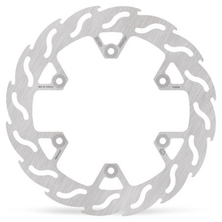 BRAKE DISC FLAME REAR