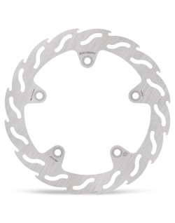 BRAKE DISC FLAME REAR
