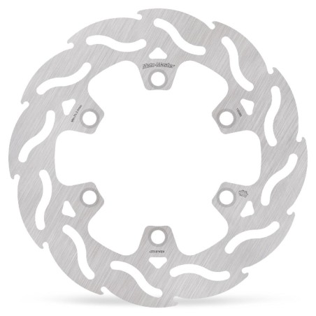 BRAKE DISC FLAME REAR