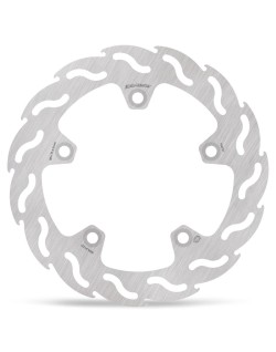 BRAKE DISC FLAME REAR