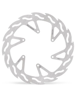 BRAKE DISC FLAME REAR