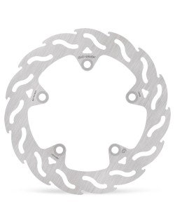 BRAKE DISC FLAME REAR