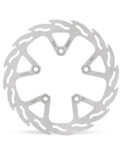 BRAKE DISC FLAME REAR