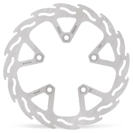 BRAKE DISC FLAME REAR