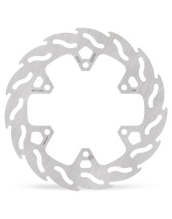 BRAKE DISC FLAME REAR