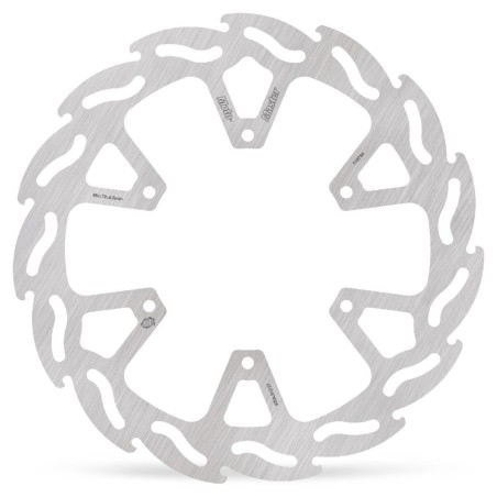 BRAKE DISC FLAME REAR