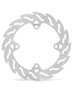 BRAKE DISC FLAME REAR