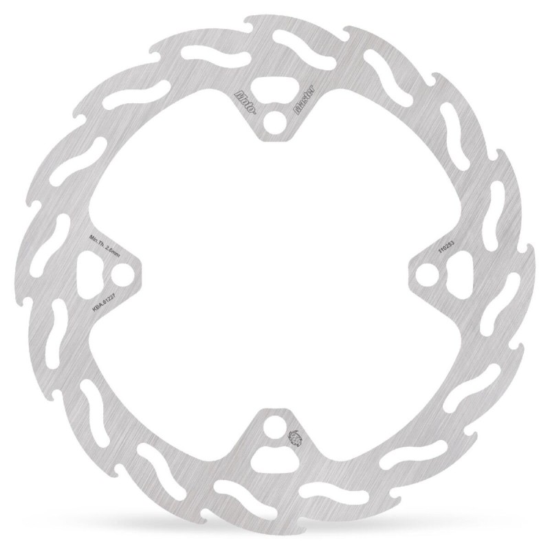 BRAKE DISC FLAME REAR