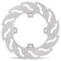 BRAKE DISC FLAME REAR