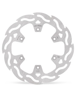 BRAKE DISC FLAME REAR