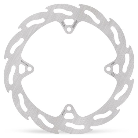 BRAKE DISC FLAME REAR