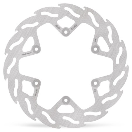 BRAKE DISC FLAME REAR