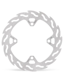 BRAKE DISC FLAME REAR