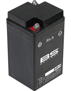 BATTERY BS B49-6