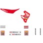 GRAPHIC KIT TEAM HONDA 92