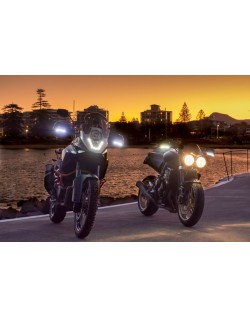 Feux de position BARKBUSTERS LED blanc 2 pièces