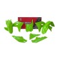 Kit plastique RACETECH Replica 5 pièces Kit plastique RACETECH Replica 5 pièces