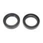FORK SEAL RSA 39X52X11