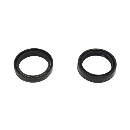 FORK SEAL RSD 43X54X11