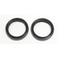 FORK SEAL 42X54X11