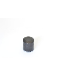 OIL FILTER POLARIS