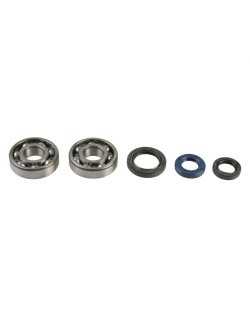 CRANKSHAFT REBUILDING KIT