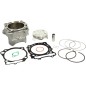 CYLINDER KIT LTR450